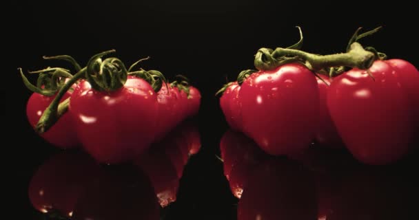 čerstvé červené koktejlové rajčata HQ super makro zblízka s tmavým pozadím jedinečné vysoké rozlišení 4k natáčení Fly over - Záběry, video