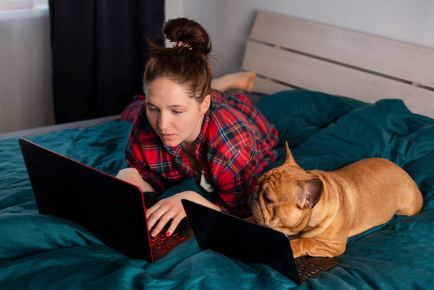 young girl and her dog french bulldog working in bed at a laptop during quarantine - Фото, изображение