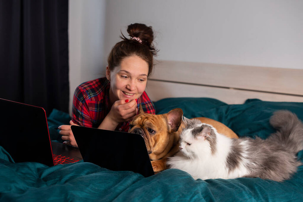 joven chica, su perro francés bulldog y mullido gato trabajo en casa en la cama durante la cuarentena
 - Foto, Imagen