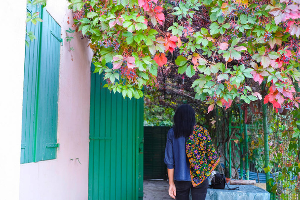 Kobieta spaceruje po tarasie w pobliżu swojego domu pod kolorowe dzikie winogrona jesienią w Prowansji. - Zdjęcie, obraz