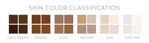 Classificazione del colore della pelle per scala Fitzpatric
 - Vettoriali, immagini