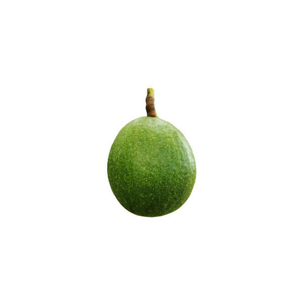 Single green fresh avocado fruit isolated on white background without shadow - Photo, Image