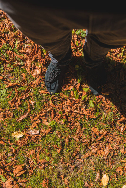 man legs in black sneakers on green grass with red rusty leaves. copy space - Foto, imagen