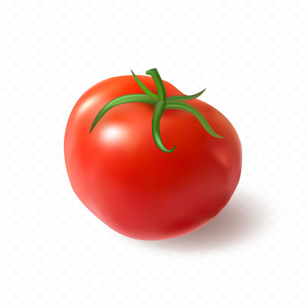Velké červené šťavnaté zralé rajče. Prémiový vektor. - Vektor, obrázek