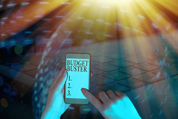 Znak tekstowy pokazujący Budget Buster. Zdjęcie koncepcyjne Beztroskie wydawanie pieniędzy Niepotrzebne zakupy Nadmierne wydatki. - Zdjęcie, obraz