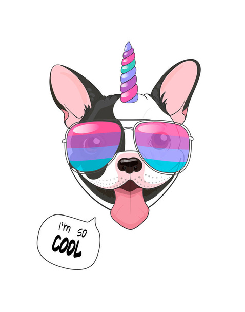 Funny poster. French bulldog with horn colorful and rainbow glasses, with the quote Im cool. Vector illustration unicorn-dog, .isolated on white  - Vector, Image
