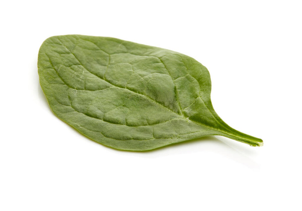 Baby Spinach Isolated on White Background - Foto, afbeelding