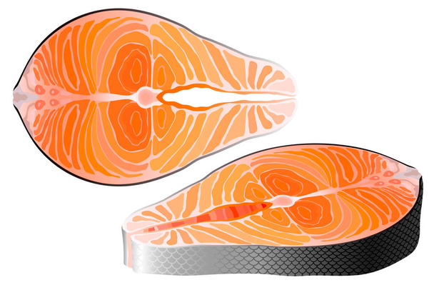 Salmón crudo filete rojo pescado superior y perspectiva ver vector
 - Vector, imagen