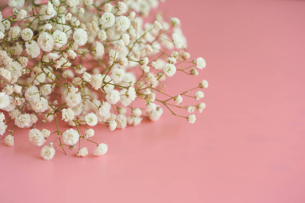 Pastel pembe zemin üzerinde beyaz bebek nefesi çiçeği ve fotokopi alanı. Sevgililer Günü için ya da düğün arkaplanı tasarımı için tatlı ve güzel bir duvar kağıdı. Çingene çiçeği sonsuza dek aşktır.. - Fotoğraf, Görsel