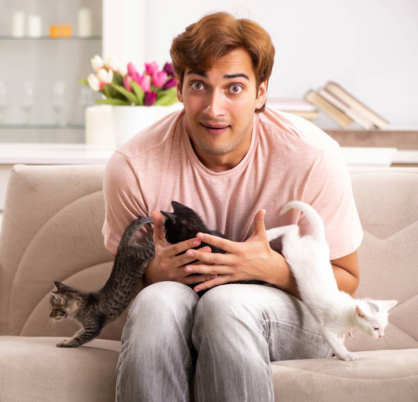 Giovane uomo che gioca con il gattino a casa - Foto, immagini