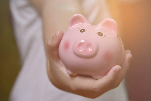 Female hand holding piggy bank. Save money and financial investment  - Photo, Image
