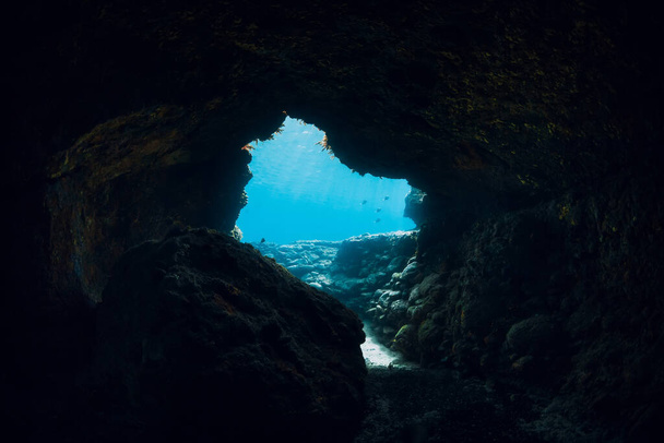 Onderwater scene met grot in blauwe oceaan - Foto, afbeelding