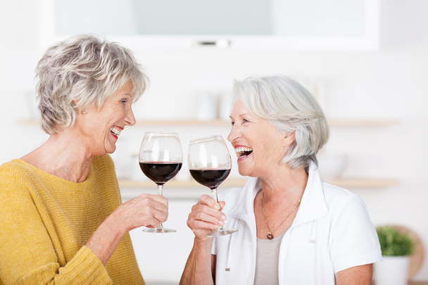 Two senior ladies with red wine - Photo, image