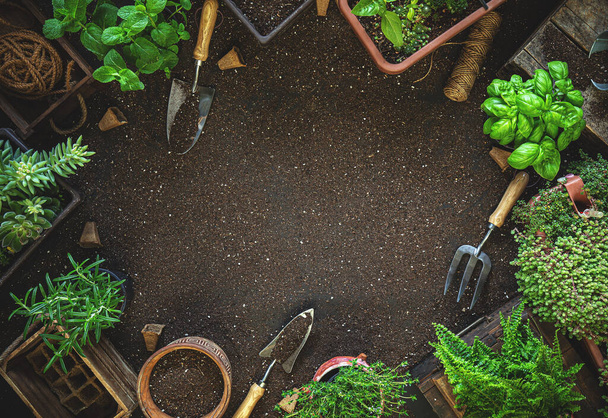 Gardening tools and herbs - Zdjęcie, obraz