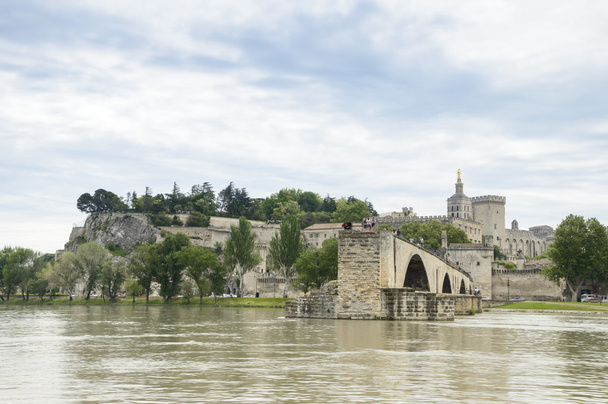 міст і собор, Авіньйон, Франції - Фото, зображення