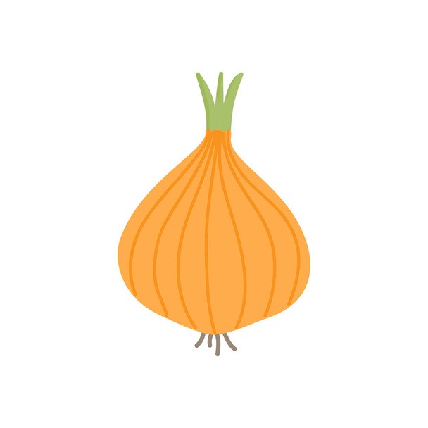 Icono de ilustración de vectores de bombilla de cebolla. Verduras amarillas de cebolla blanca. Aislado
. - Vector, imagen
