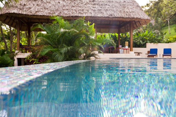 tropical pool - Photo, Image