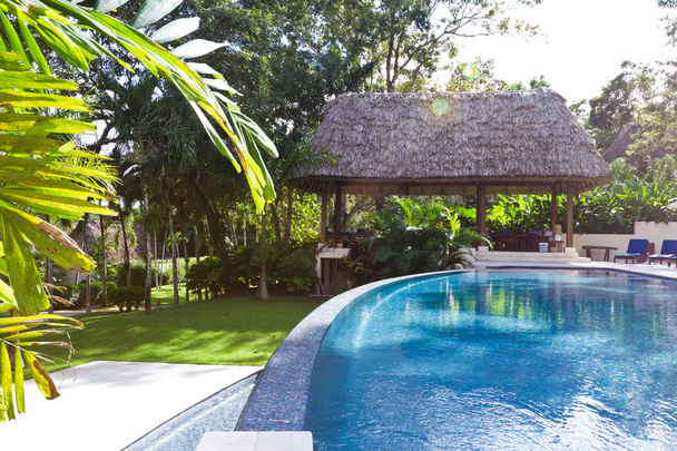 tropical pool - Photo, Image