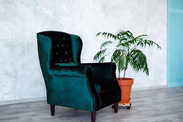 Cadeira de estilo vintage no quarto interior moderno com plantas verdes
 - Foto, Imagem