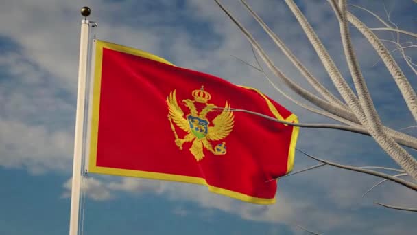 Die montenegrinische Flagge weht mit Nationalstolz. Montenegrinische Flagge am Mast repräsentiert die Regierung - Filmanimation - Filmmaterial, Video