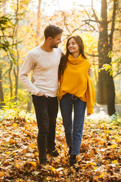 Full length of a beautiful young couple in love walking at the autumn park, holding hands - 写真・画像