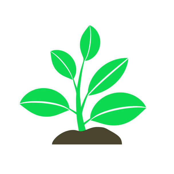 Pflanze, die aus der Erde sprießt. Symbol für Ökologie, Umweltbewusstsein - Vektor, Bild