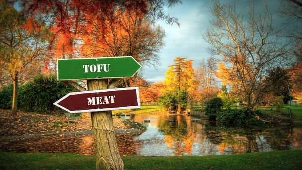 Straßenschild Wegweiser Richtung Tofu versus Fleisch - Foto, Bild
