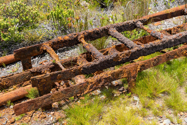Western Cape, Dél-Afrika, 2019. Rozsdásodó meghosszabbítható fém létra feküdt a fűben, romlik a vízparton. Western Cape, Dél-Afrika. - Fotó, kép