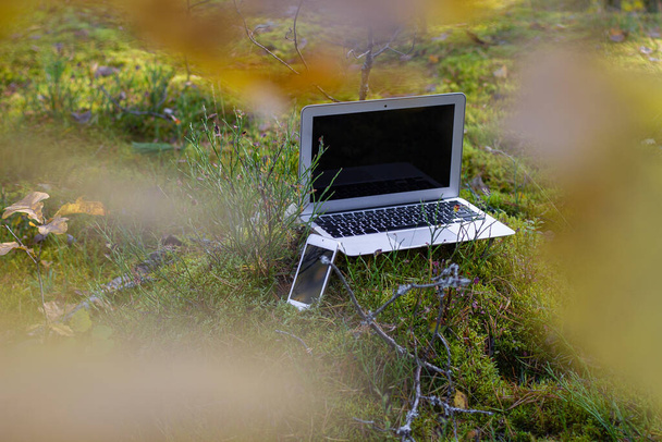 laptop and cell phone in forest.  business travel, Mobile Internet. remote work, freelance. - Foto, Imagen