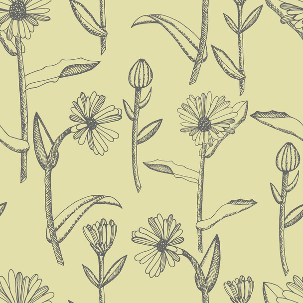 Calendula. Collection of hand drawn flowers and plants. Set of medicinal herbs sketch. Illustration in the style of engraving. Botanical plant illustration. Seamless pattern. - ベクター画像