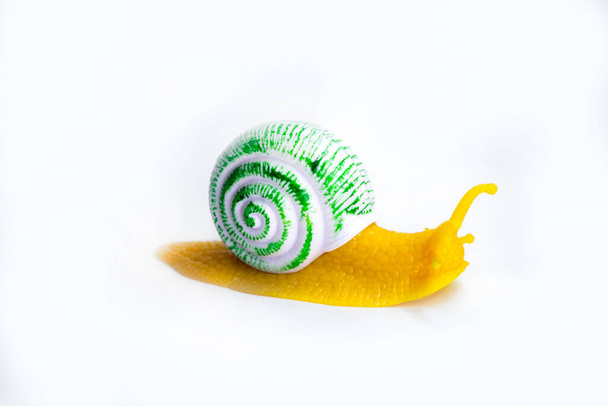 Jouet décoratif pour escargot en caoutchouc et plastique
 - Photo, image