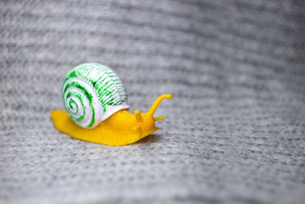Dekoratives Schneckenspielzeug aus Gummi und Kunststoff - Foto, Bild
