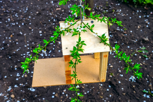 bird house, nesting box on tree - Photo, Image