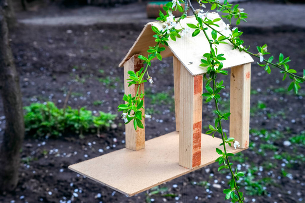 casa de aves, caja de anidación en el árbol - Foto, imagen