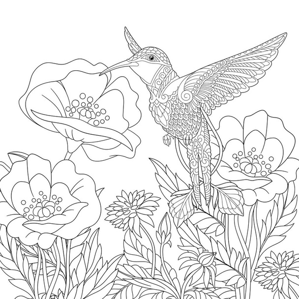 Coloriage. Image à colorier de belles fleurs de colibri et de pavot. Conception d'art linéaire pour livre à colorier pour adultes avec gribouillis et éléments en zentangle
. - Vecteur, image