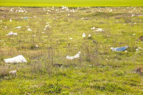 Odpadky odnášené větrem přes pole. Ekologické znečištění. - Fotografie, Obrázek