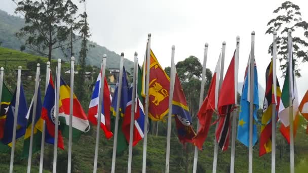 Muitas várias bandeiras nacionais brilhantes e mundiais de países diferentes que acenam ao vento em postes de bandeira. Fechar câmera lenta
 - Filmagem, Vídeo