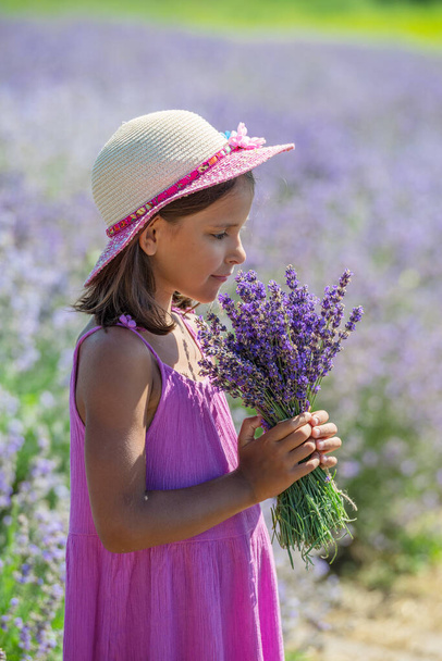 Portrait of little girl sniffing flowers in the lavender field. - Fotografie, Obrázek