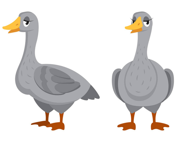 Female goose in different poses. - Вектор,изображение