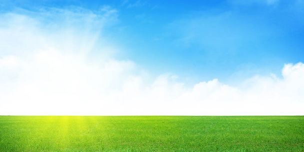 Green grass field and blue sky summer landscape background - Photo, Image
