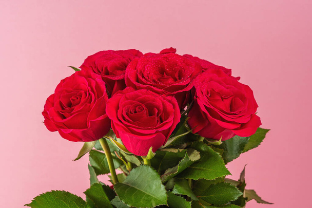 Bouquet of red roses on pink background. Greeting card for Valentines Day, Womens Day. Holiday concept. - Foto, Imagem