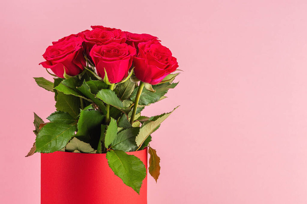 Bouquet of red roses in red pot on pink background. Greeting card for Valentines Day, Womens Day. Holiday concept. - Foto, imagen