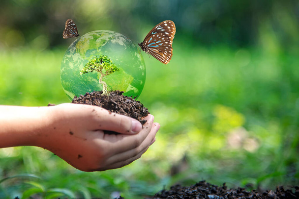 Τα χέρια των παιδιών κρατώντας δέντρο με πεταλούδα κρατήσει το περιβάλλον στο πίσω έδαφος στο φυσικό πάρκο της ανάπτυξης των φυτών για τη μείωση της υπερθέρμανσης του πλανήτη, πράσινο φόντο της φύσης. Οικολογία και περιβάλλον. - Φωτογραφία, εικόνα