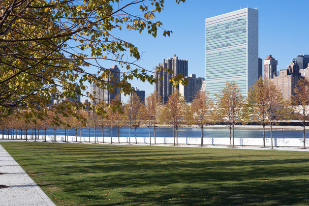Roosevelt vier vrijheden park, new york city - Foto, afbeelding