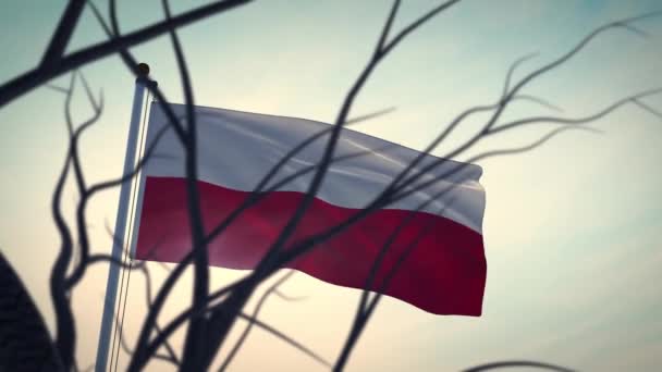 Polen-Flagge durch Bäume schwenken und beleuchtet. Polnischer Fahnenmast steht für Land und nationale Freiheit - 3D-Animation - Filmmaterial, Video