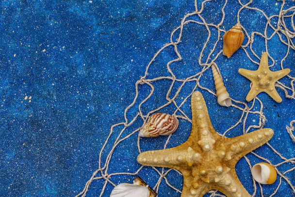 Fondo de verano conchas marinas. Montones de conchas marinas diferentes apilados juntos, estrellas de mar, red de pesca. Fondo náutico azul marino, vista superior
 - Foto, imagen