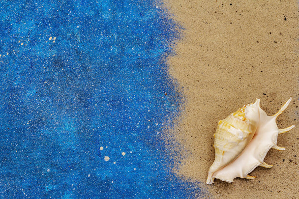 Знищує літній фон. Багато різних черепах збираються разом, морська зірка. Морський синій морський фон, вид зверху
 - Фото, зображення