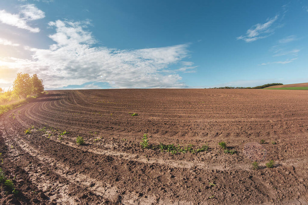 εύφορες γεωργικές εκτάσεις για σπορά και καλλιέργειες - Φωτογραφία, εικόνα