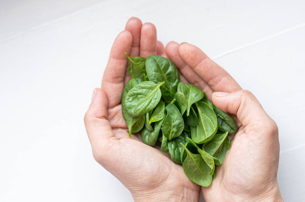Eco-friendly spinach in the hands. - Photo, Image