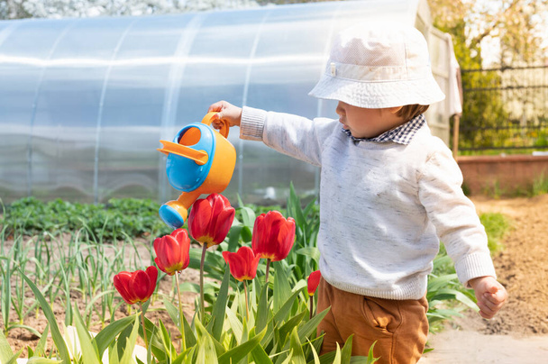 Dítě zalévání květiny z plechovky. - Fotografie, Obrázek
